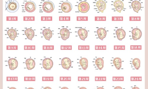 宝宝多维营养素的作用网宝宝吃的多维元素片有哪些知识网站,分享宝宝补多维生素吃哪个大全