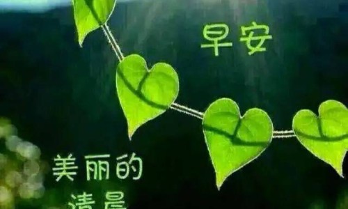 宝宝多维营养素的作用网宝宝吃的多维元素片有哪些知识网站,分享宝宝补多维生素吃哪个大全